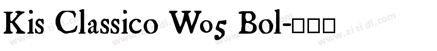 Kis Classico W05 Bol字体转换